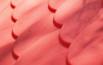 Scrafield plastic roof costs