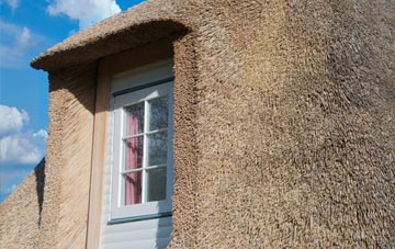 Scrafield thatch roof disadvantages